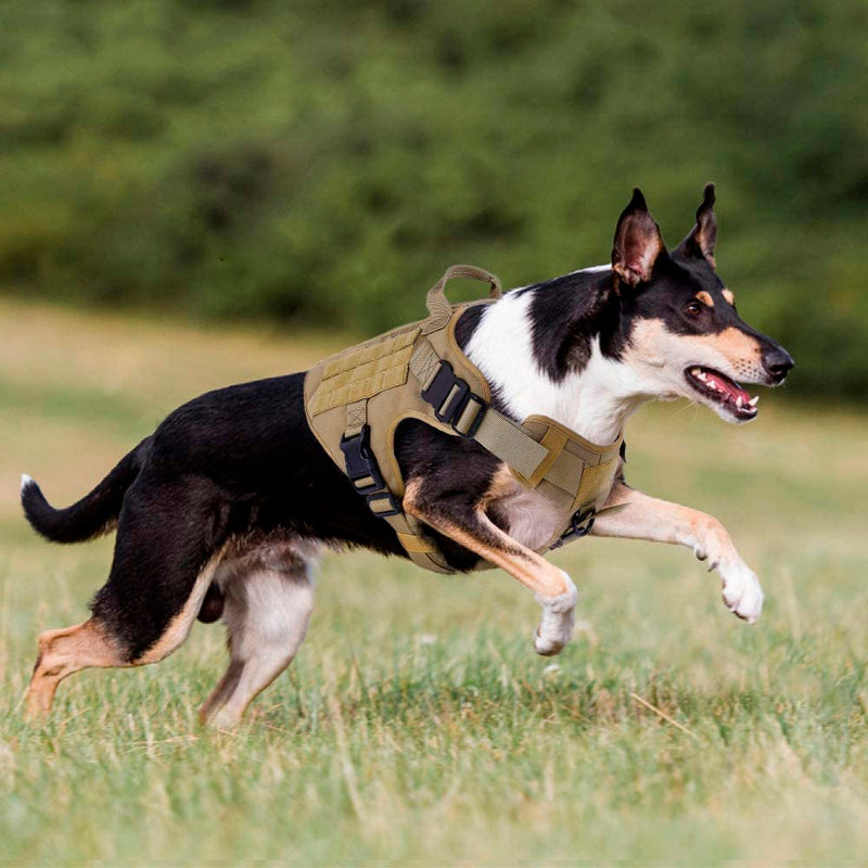 Peitoral Tático e Guia Anti-Puxão Para Cães