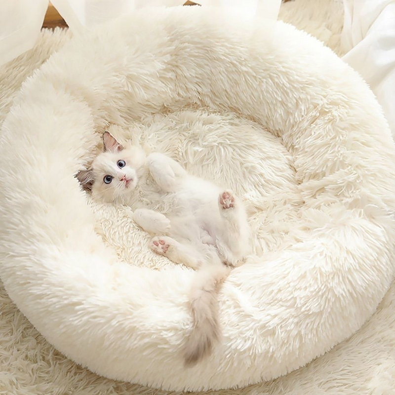 Cama para Cachorros e Gatos Donuts Dogmiau