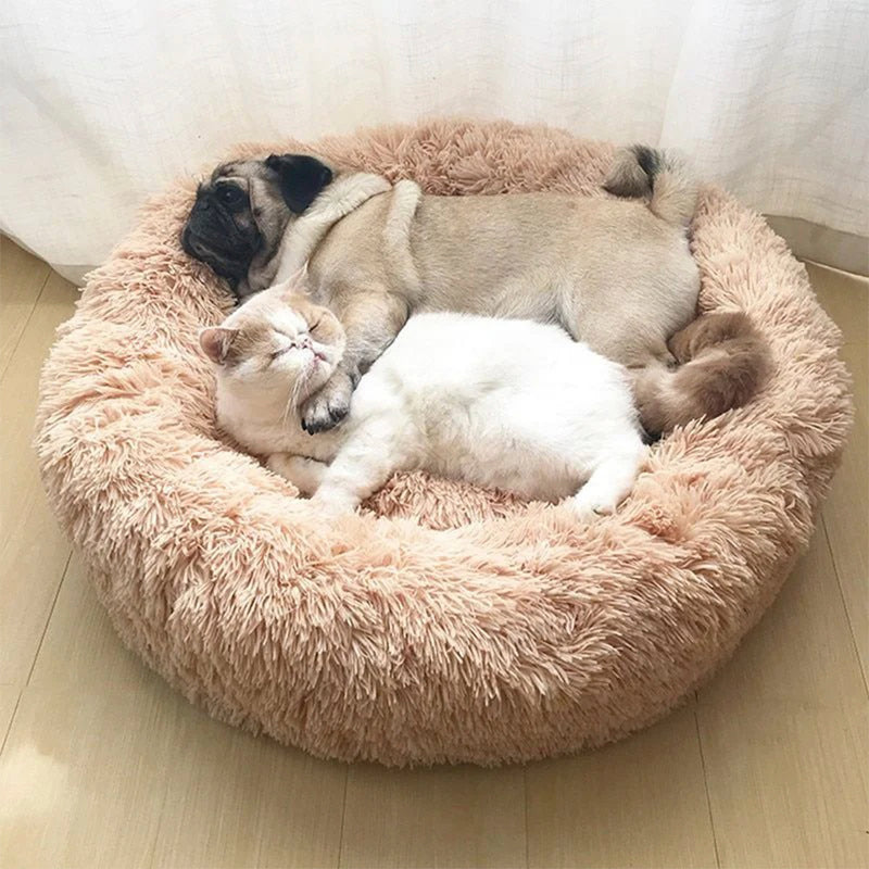 Cama para Cachorros e Gatos Donuts Dogmiau